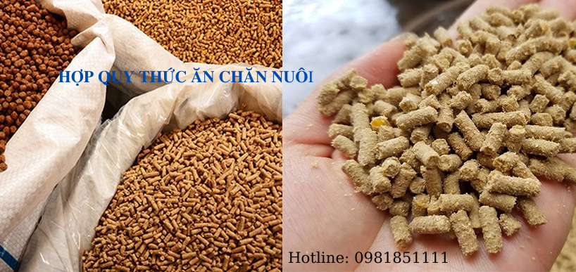 Tổng quan chứng nhận hợp quy thức ăn chăn nuôi
