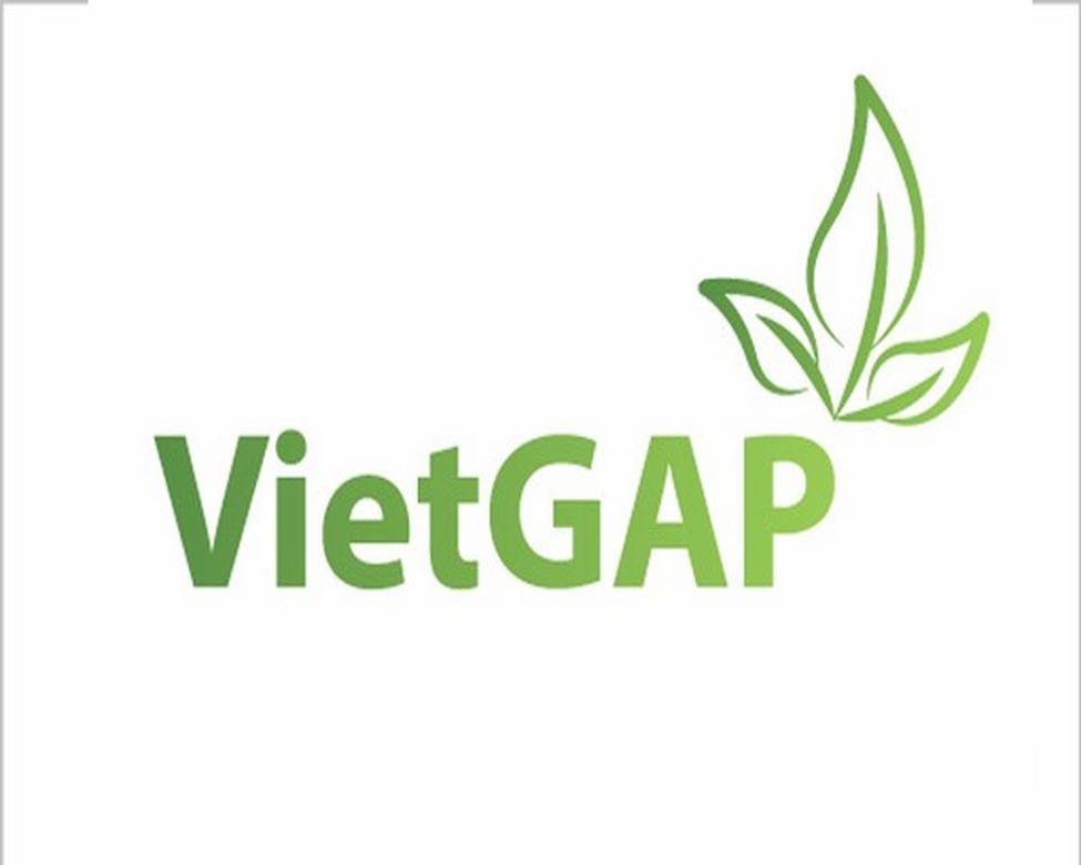 Lợi ích của chứng nhận VietGap
