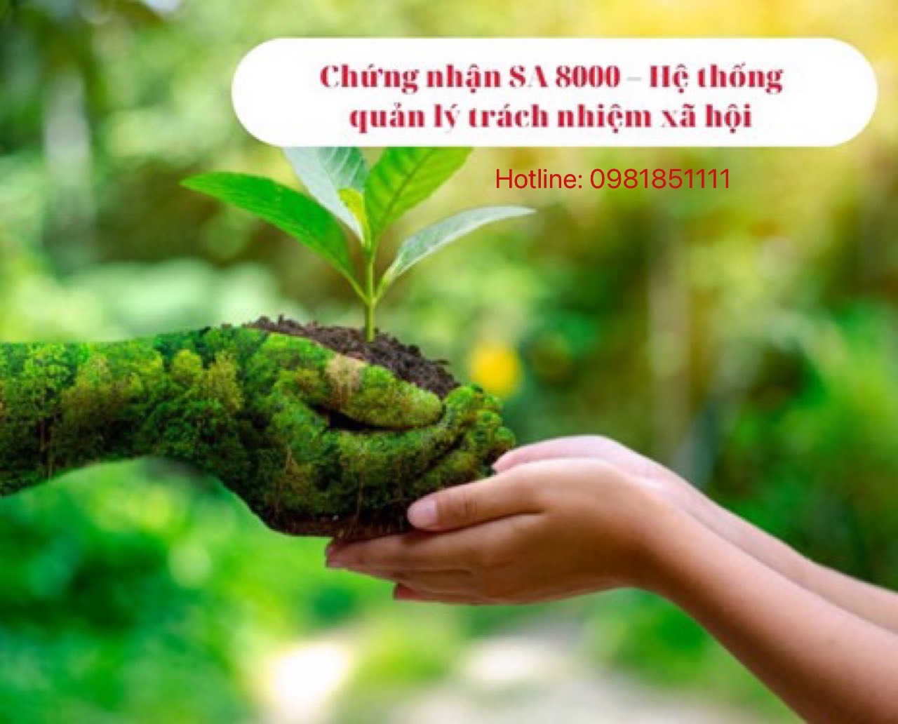 Tổng quan Hệ thống Quản lý Trách nhiệm Xã hội SA 8000
