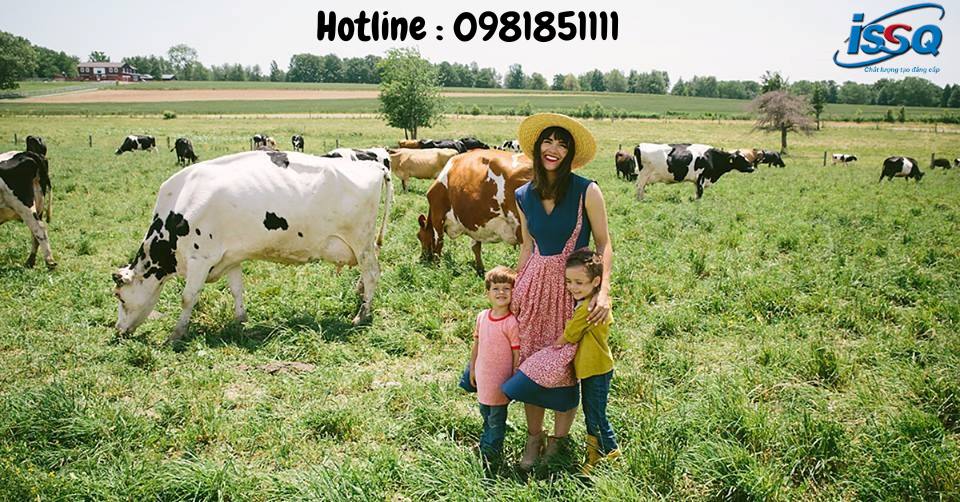 Chứng nhận Sữa hữu cơ phù hợp TCVN 11041-7:2018