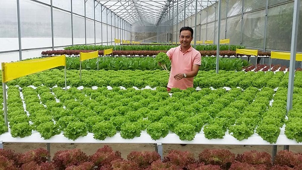 Hoàn thiện hệ thống tiêu chuẩn, quy chuẩn kĩ thuật trong nông nghiệp