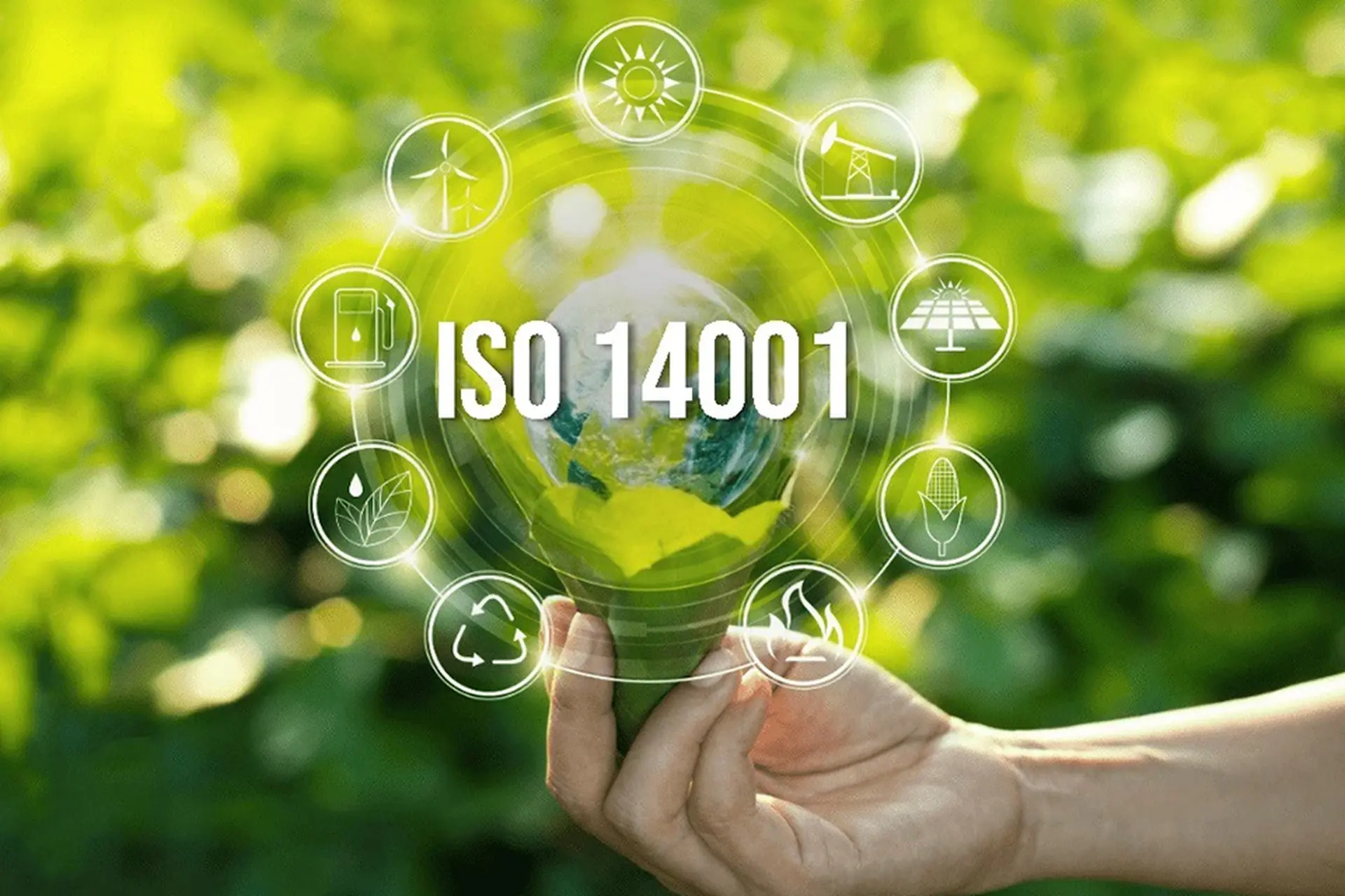 ISO publishes international standard on biodiversity