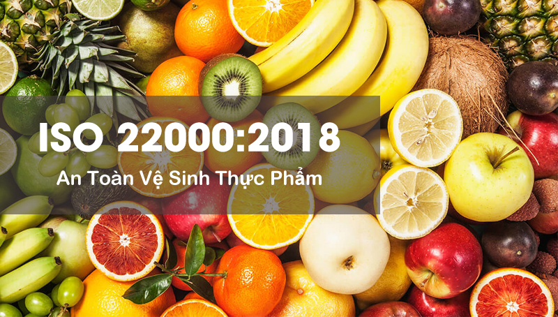 Hệ thống, công cụ cải tiến năng suất – giải pháp cho doanh nghiệp khởi nghiệp sáng tạo Việt Nam