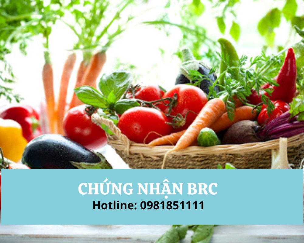 10 yêu cầu cơ bản của chứng nhận BRC là gì?