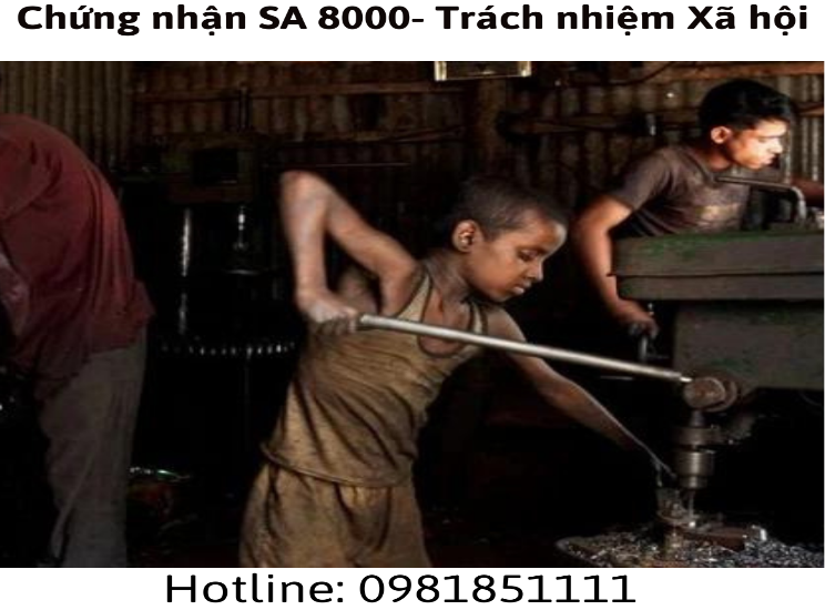 SA 8000:2014 - Tiêu chuẩn quốc tế về Trách nhiệm Xã hội.