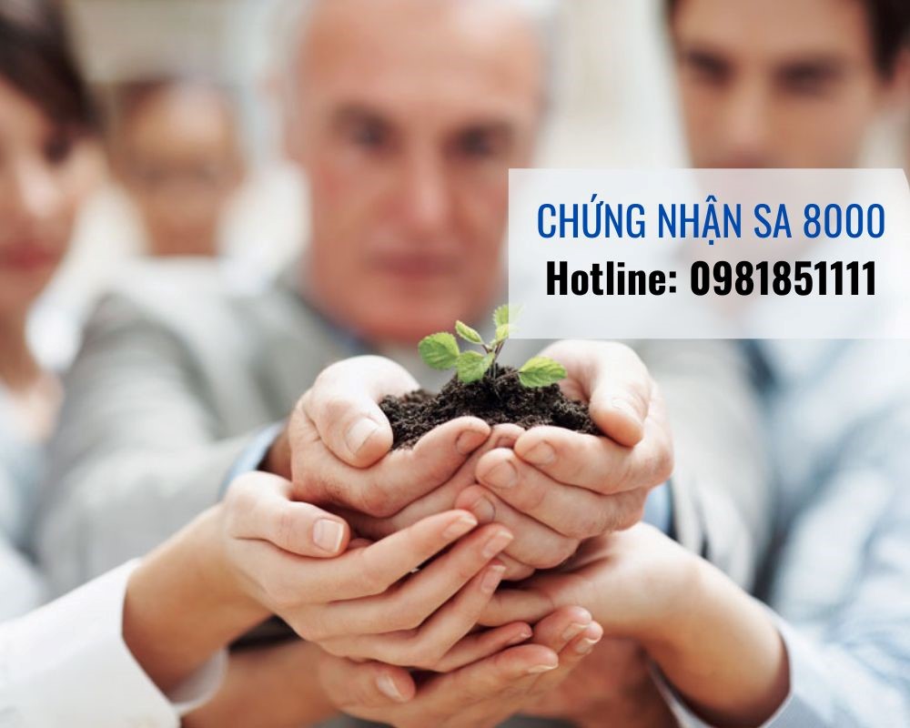 Viện ISSQ chứng Nhận SA 8000 - Hệ thống quản lý trách nhiệm xã hội