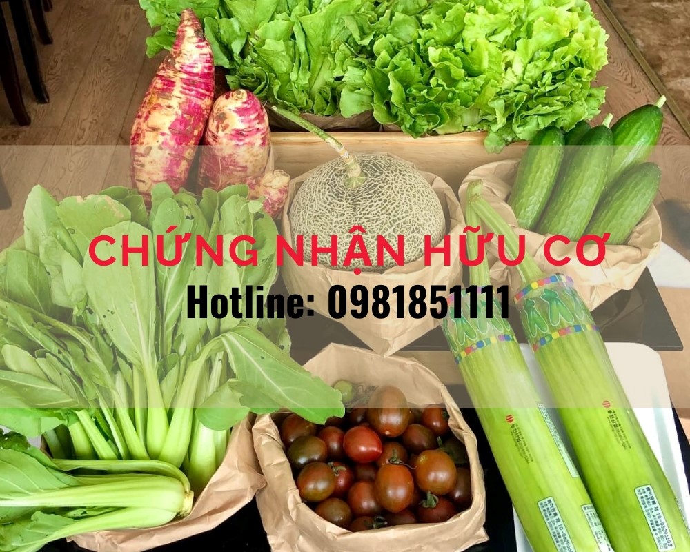Những điều cần biết về Chứng nhận Hữu cơ