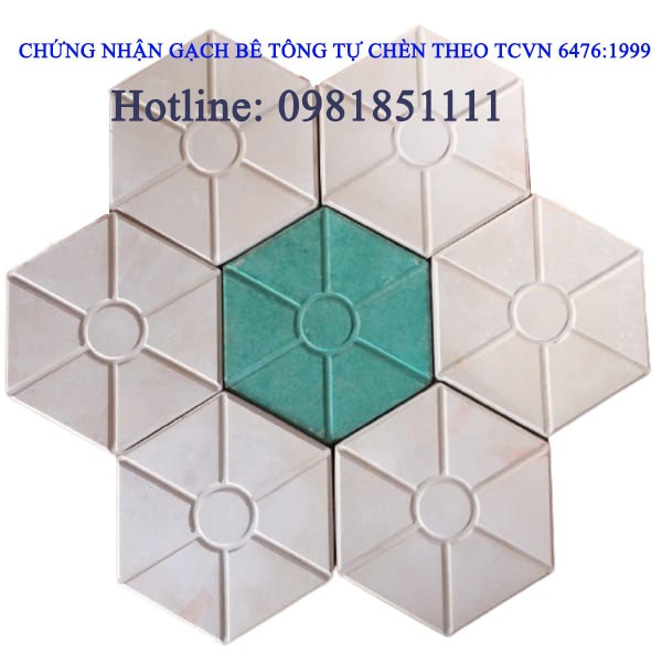 Chứng nhận Gạch bê tông tự chèn theo TCVN 6476:1999