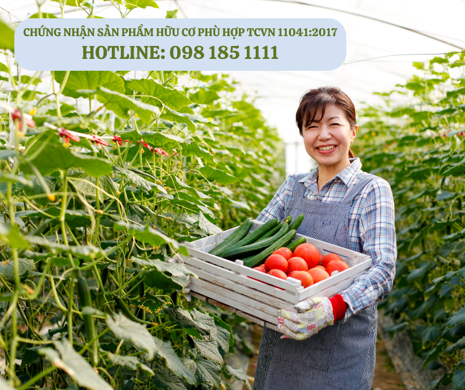Lợi ích cho doanh nghiệp khi đạt được Chứng nhận Sản phẩm Hữu cơ phù hợp TCVN 11041