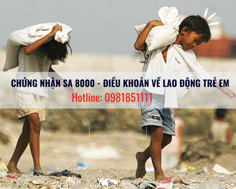 Chứng nhận SA 8000 - Điều khoản về Lao động trẻ em