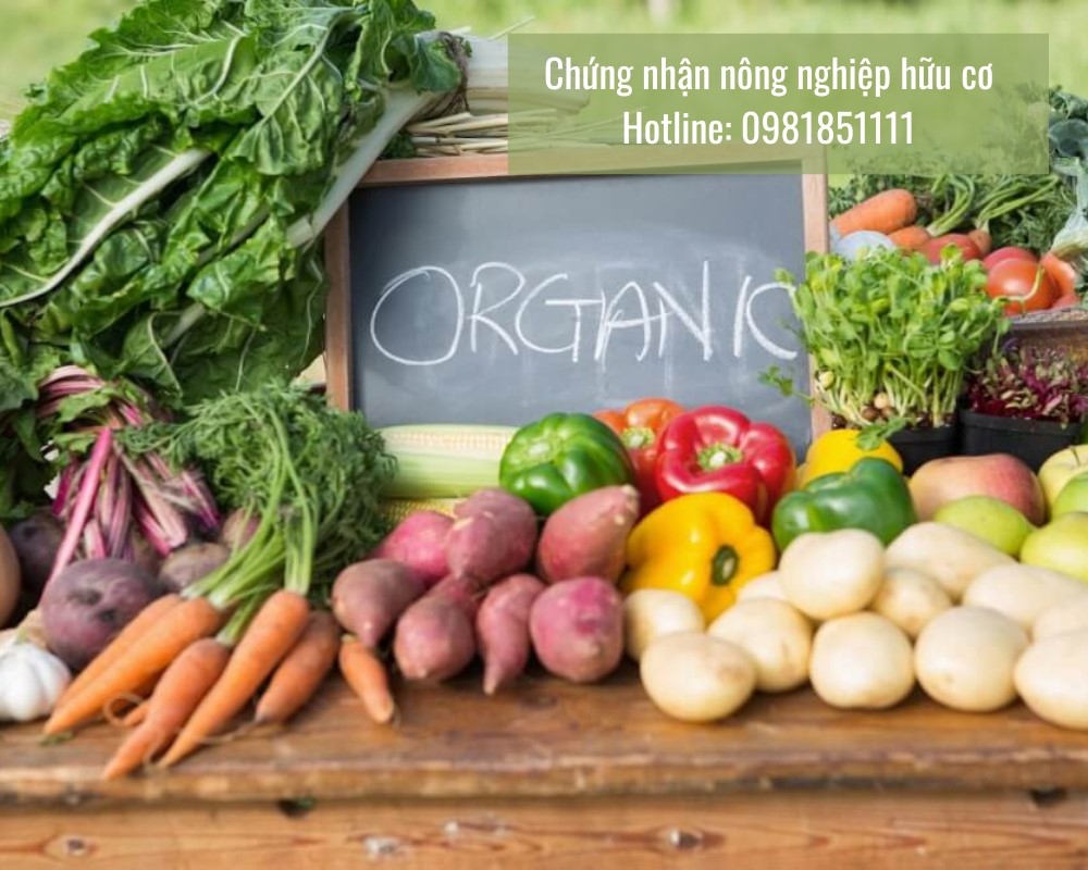 Quy trình chứng nhận tiêu chuẩn nông nghiệp hữu cơ Việt Nam phù hợp theo TCVN 11041